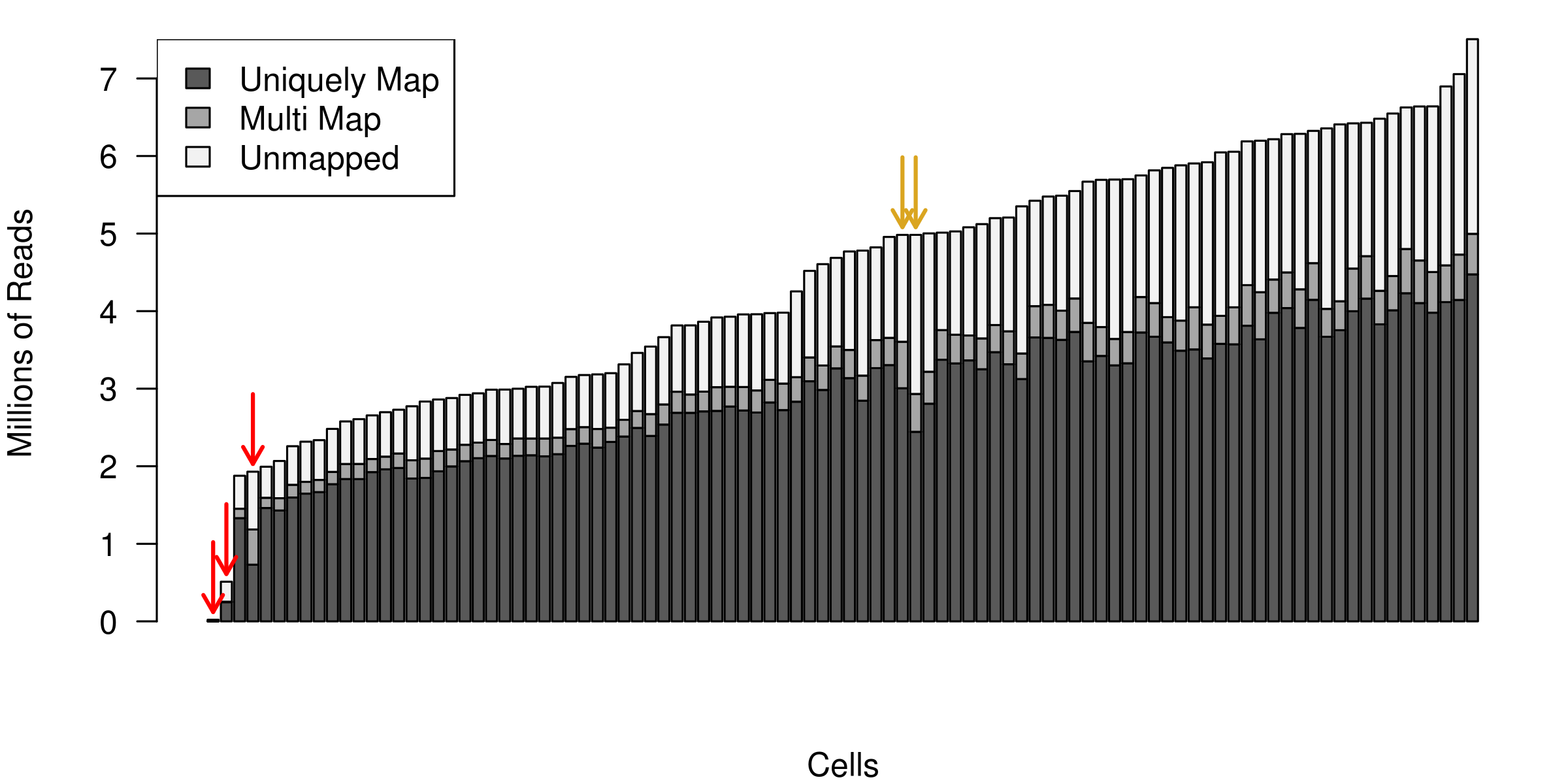 Example of the total number of reads mapped to each cell.