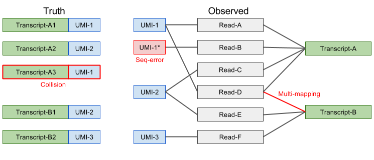 UMIs中可能错误