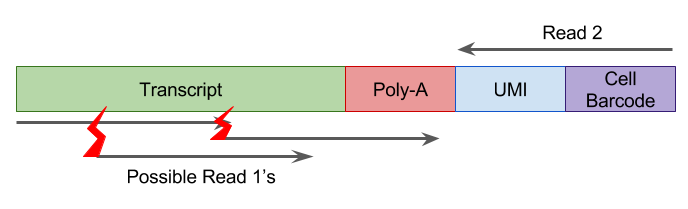 UMI测序reads, 红色闪电代表不同片段的文职