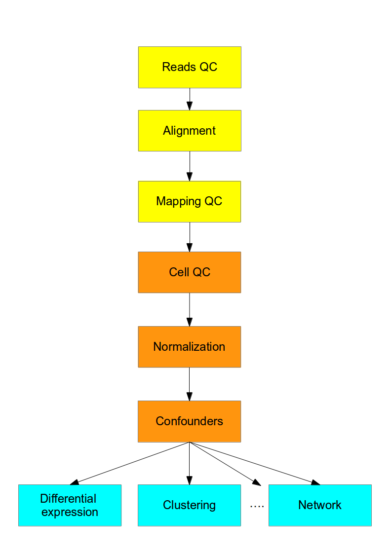 scRNA-seq分析流程图