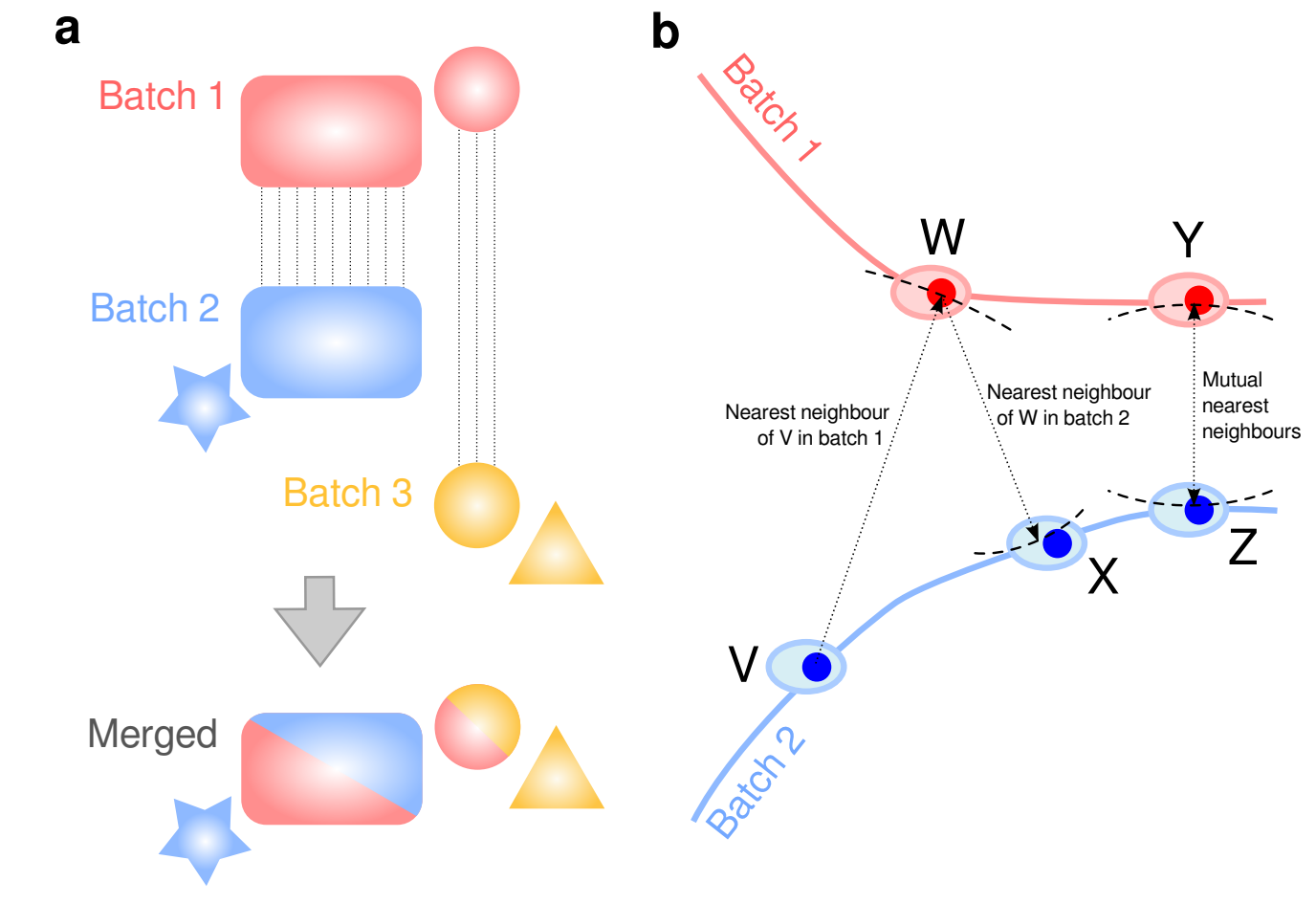 mnnCorrect batch/dataset effect correction. From Haghverdi et al. 2017